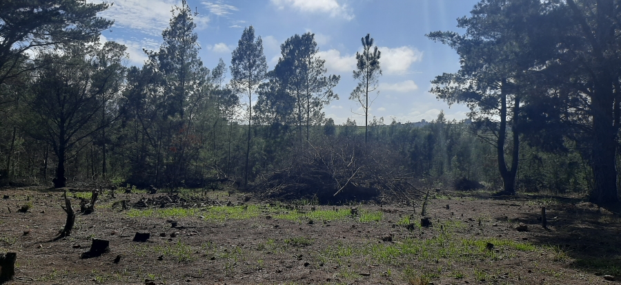 Commercial Property for Sale in Friemersheim Western Cape